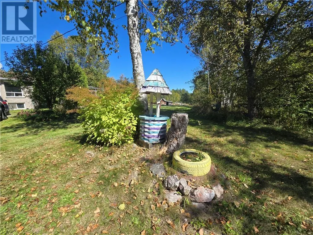896 RED DEER LAKE ROAD N
