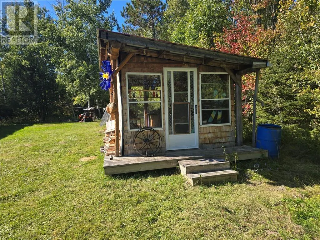 896 RED DEER LAKE ROAD N