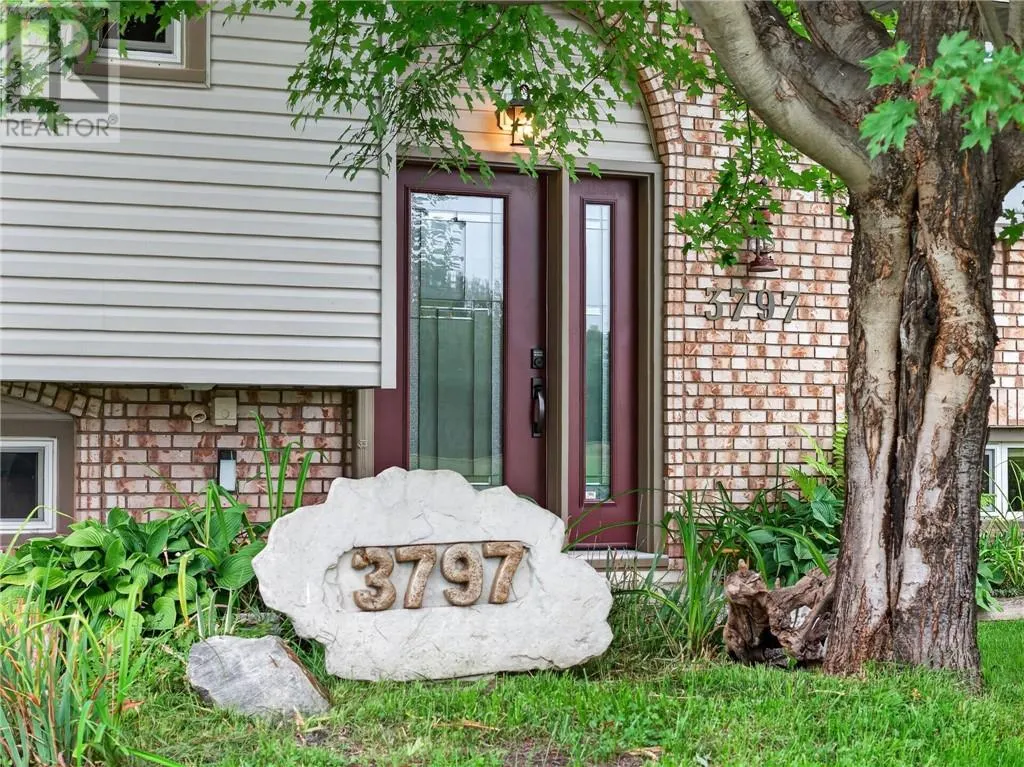 3797 Swanson Court