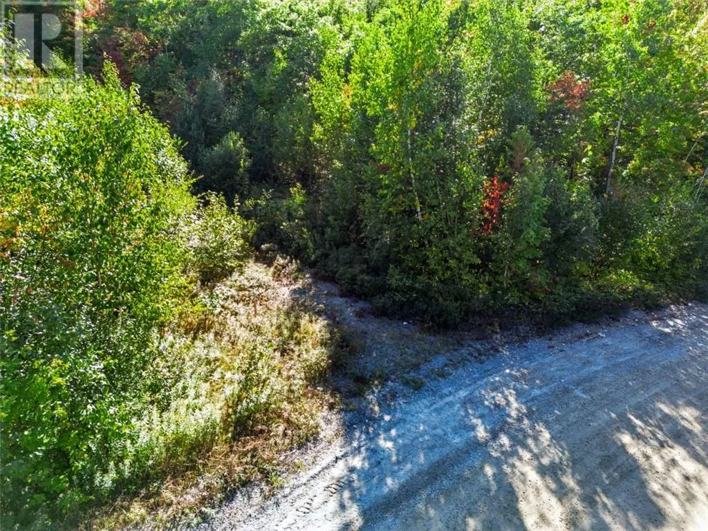 725 Pinecone Road
