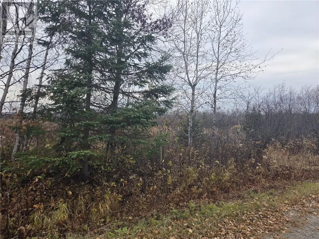 LOT 9 MORGAN Road