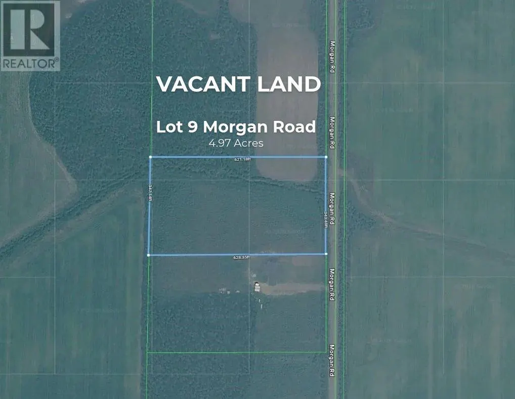 LOT 9 MORGAN Road