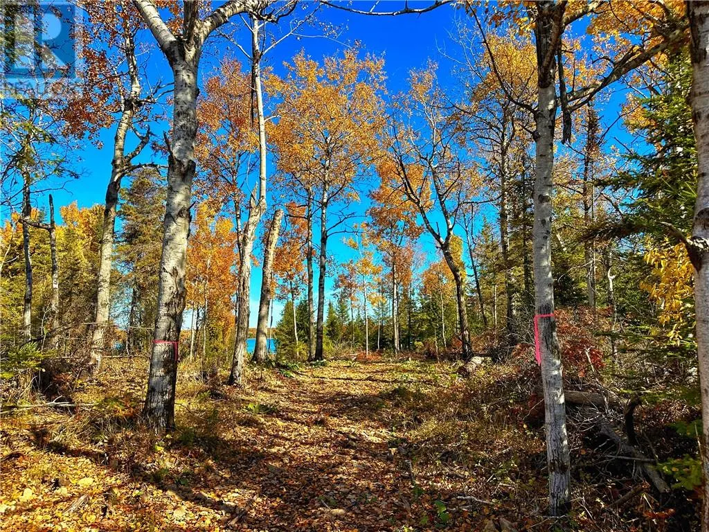 46 Goose Gap Crescent