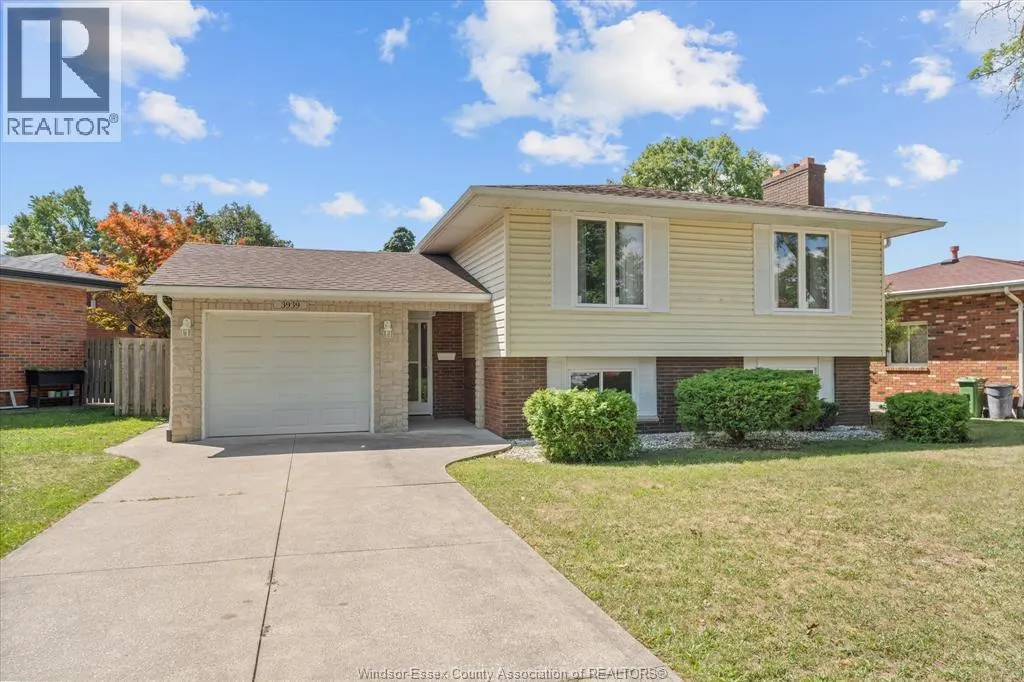 3939 BORRELLI