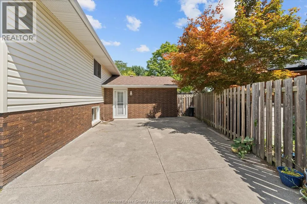 3939 BORRELLI