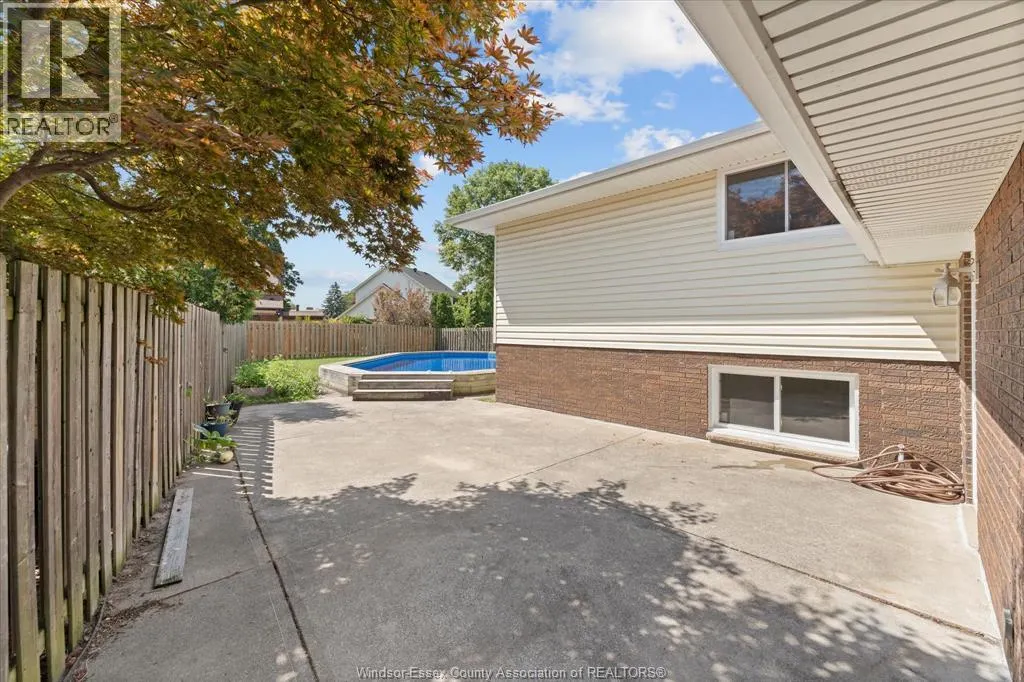 3939 BORRELLI