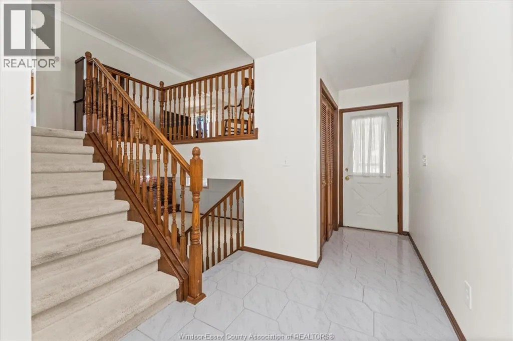 3939 BORRELLI