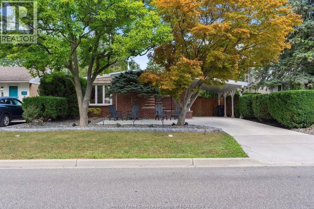 1252 MATTHEW BRADY