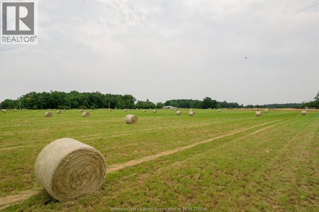 9067 FERRIS Sideroad
