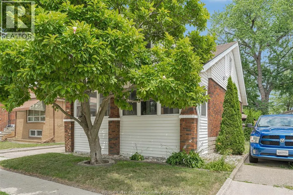 1620 ELLROSE