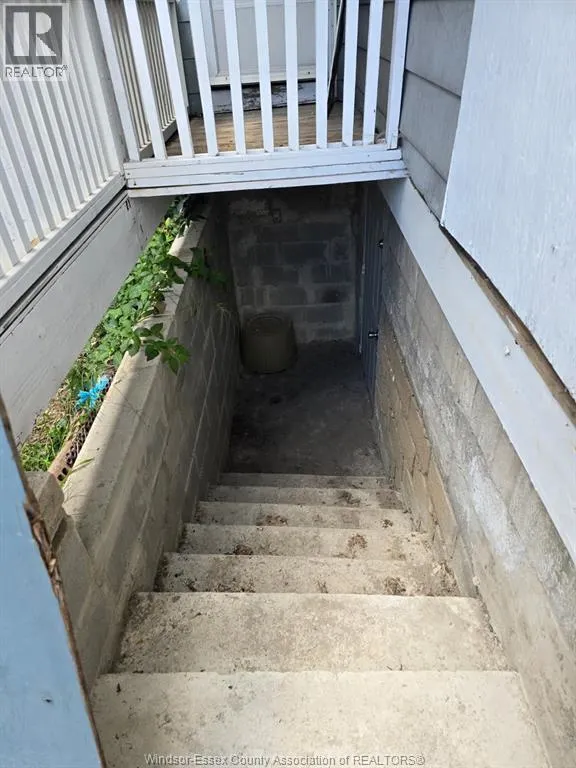3242 BABY STREET