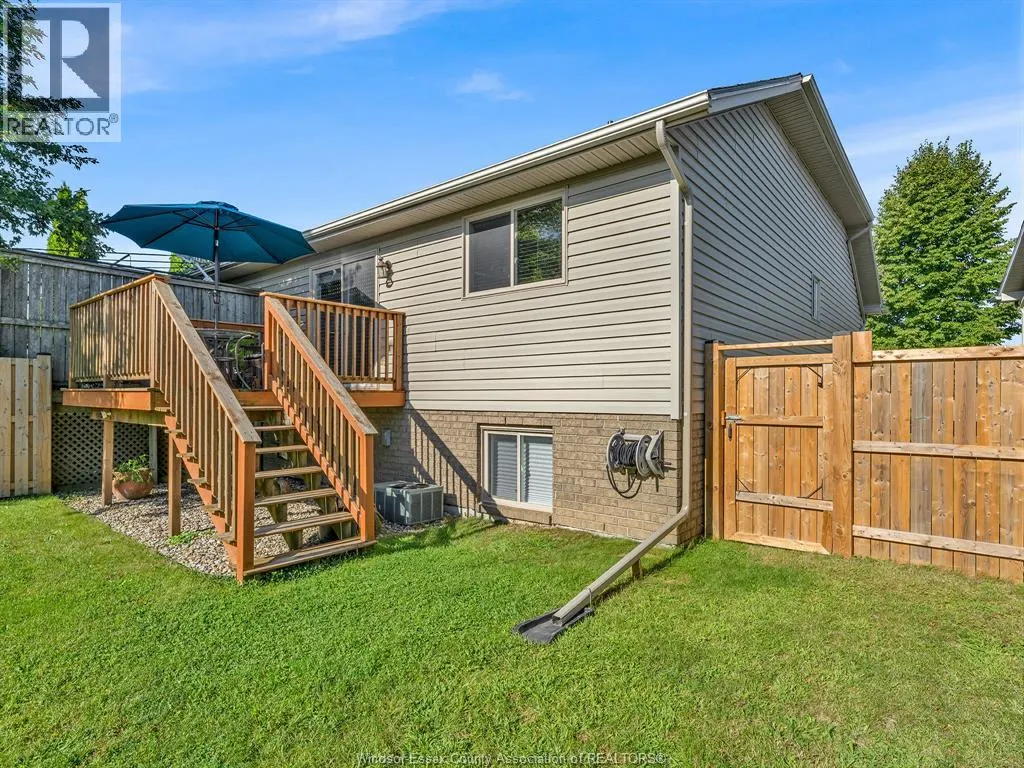 29 Anfred STREET