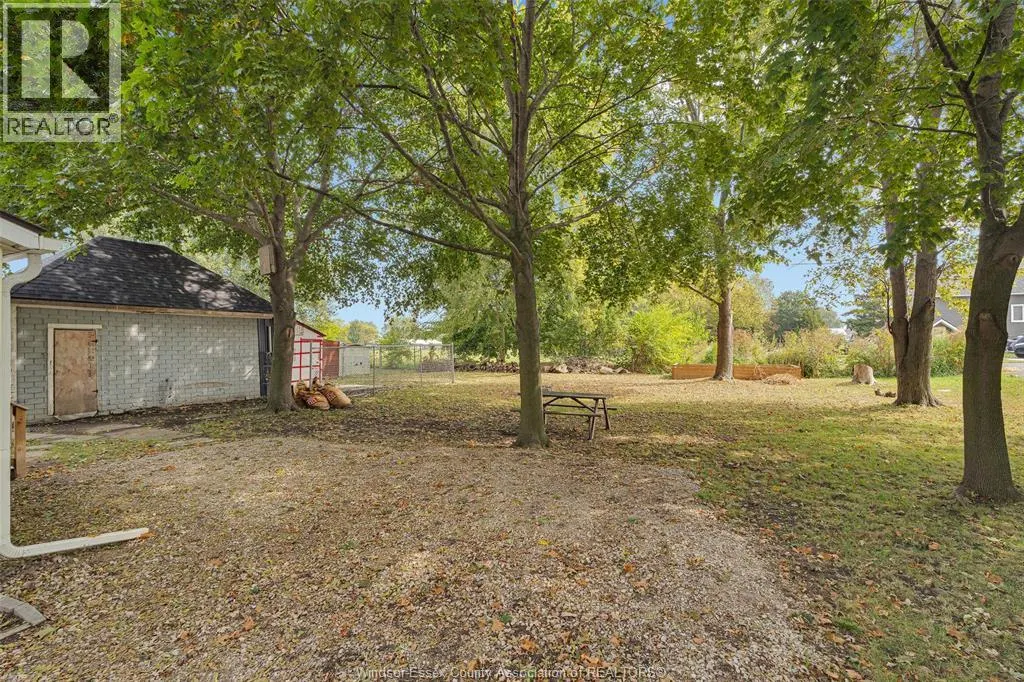 950 COMBER Sideroad