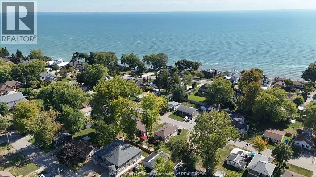 294 ERIEVIEW