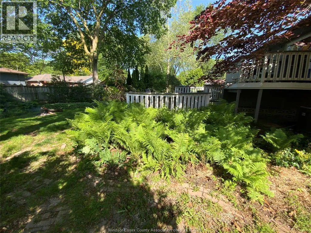 625 Maple AVENUE