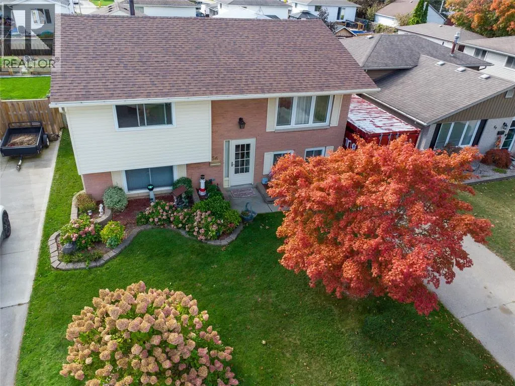 56 Rossini CRESCENT