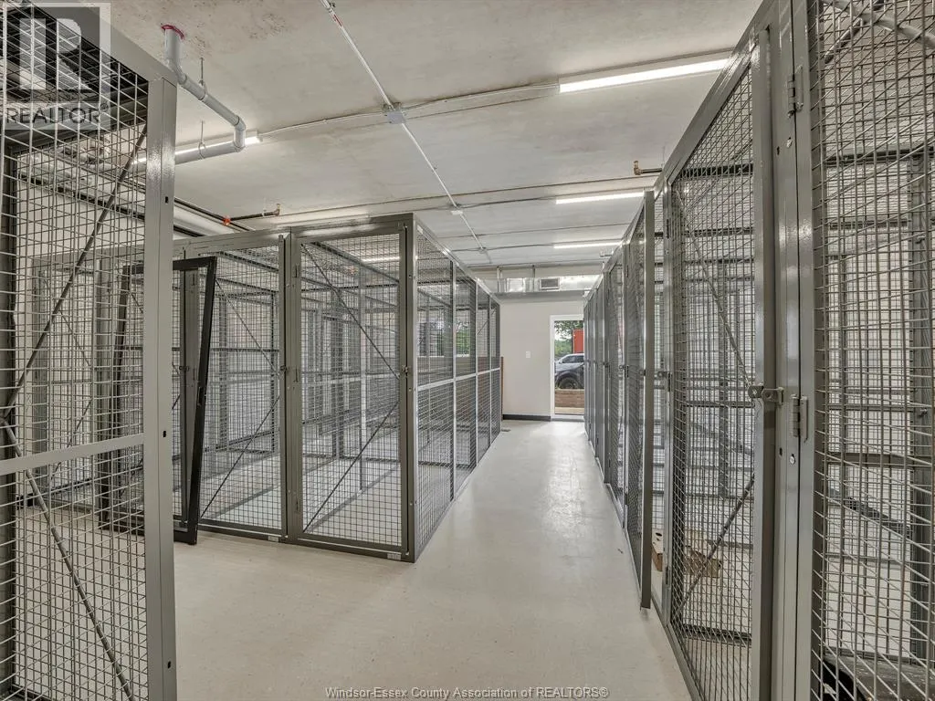 11646 TECUMSEH Road Unit# 307