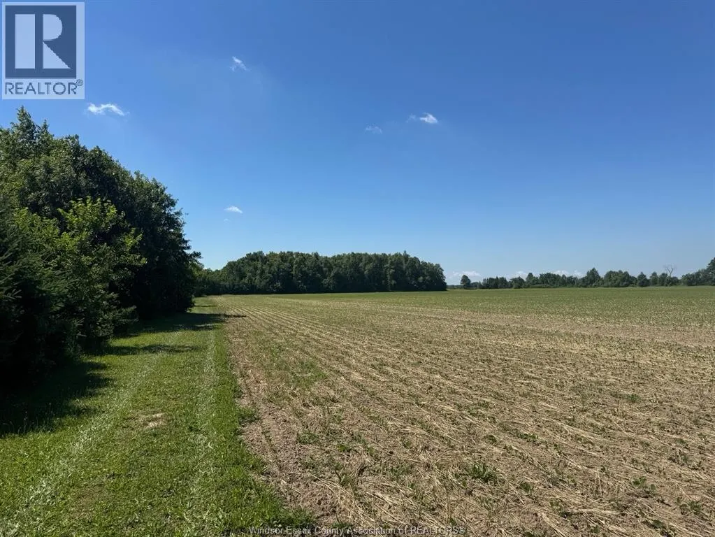 9773 9TH CONCESSION RD.