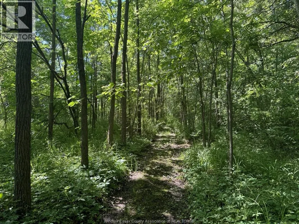 9773 9TH CONCESSION RD.