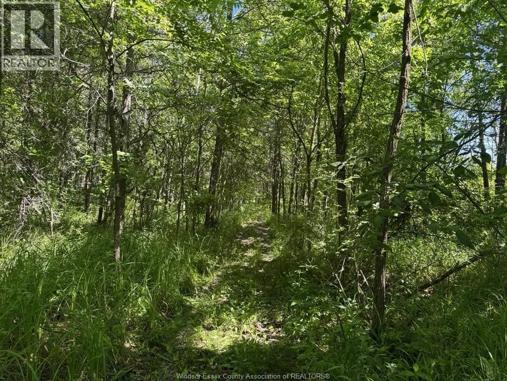 9773 9TH CONCESSION RD.