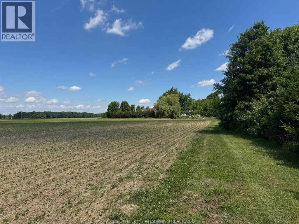 9773 9TH CONCESSION RD.