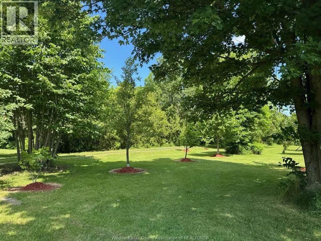 9773 9TH CONCESSION RD.
