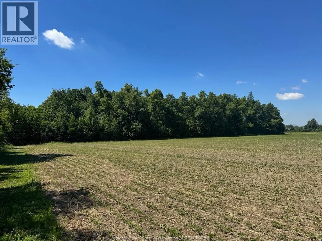 9773 9TH CONCESSION RD.