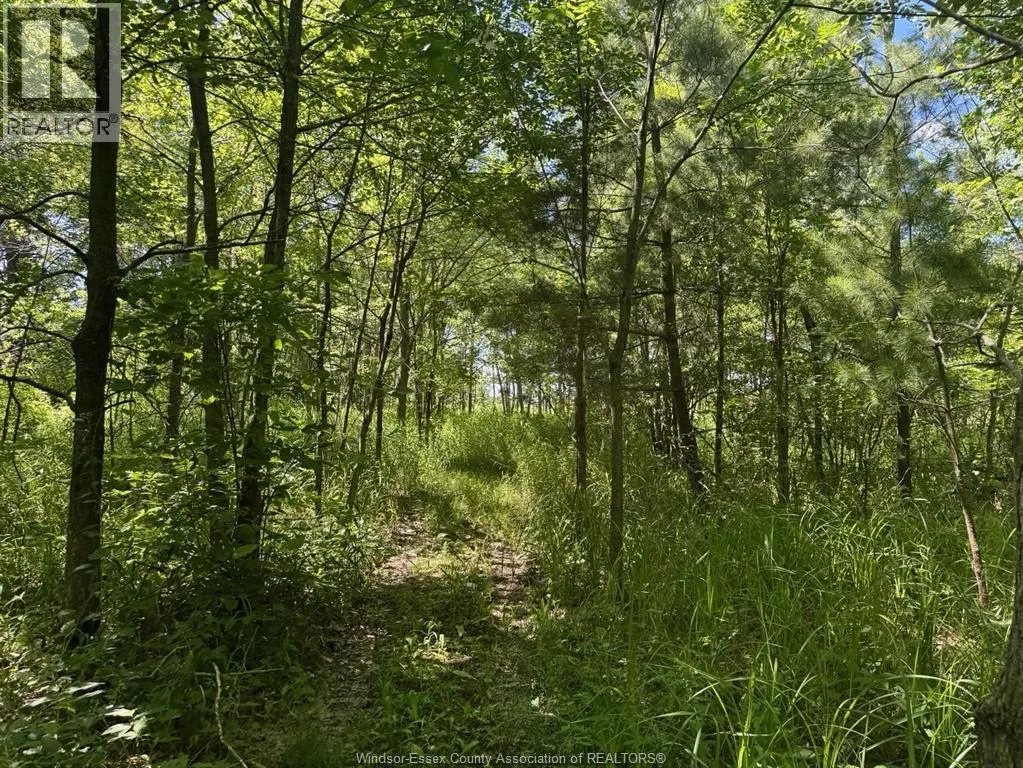 9773 9TH CONCESSION RD.