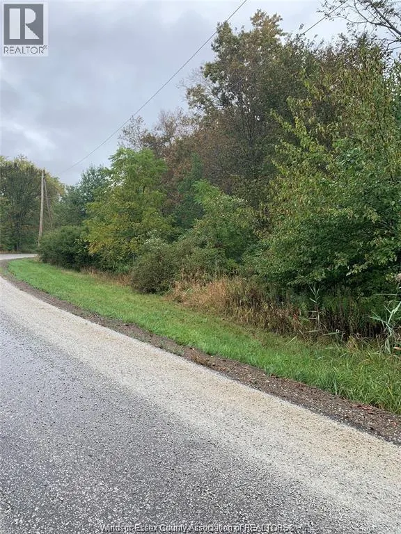 V/L BRUSH SIDE ROAD
