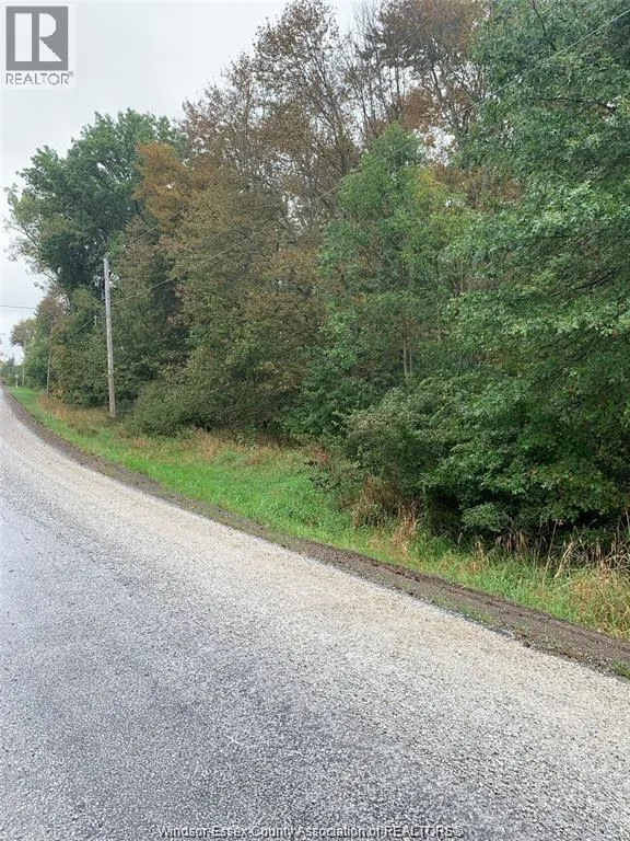 V/L BRUSH SIDE ROAD