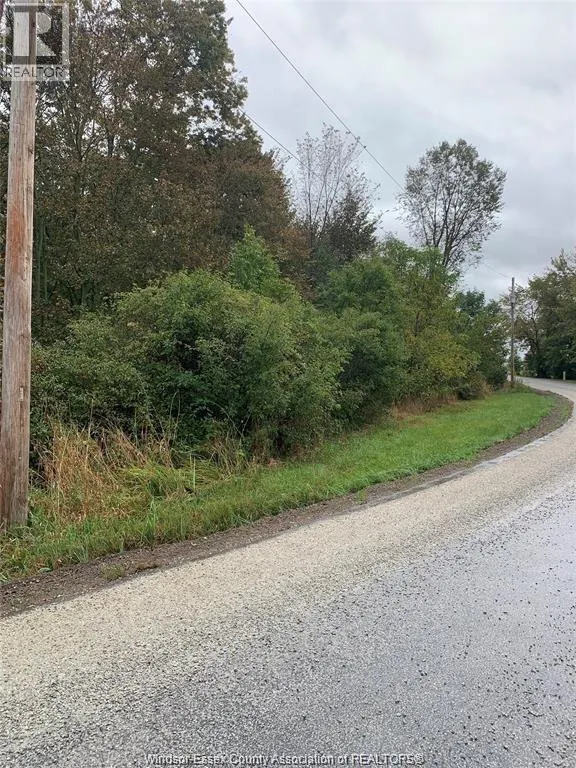 V/L BRUSH SIDE ROAD
