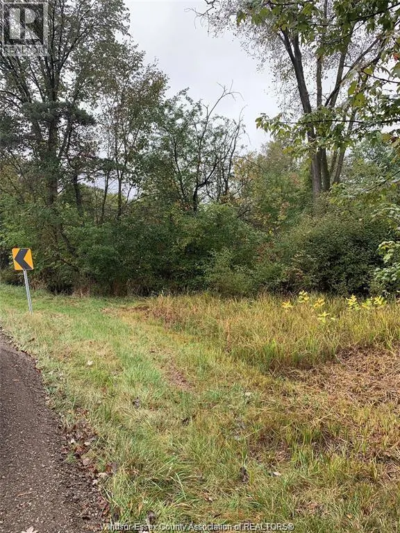 V/L BRUSH SIDE ROAD