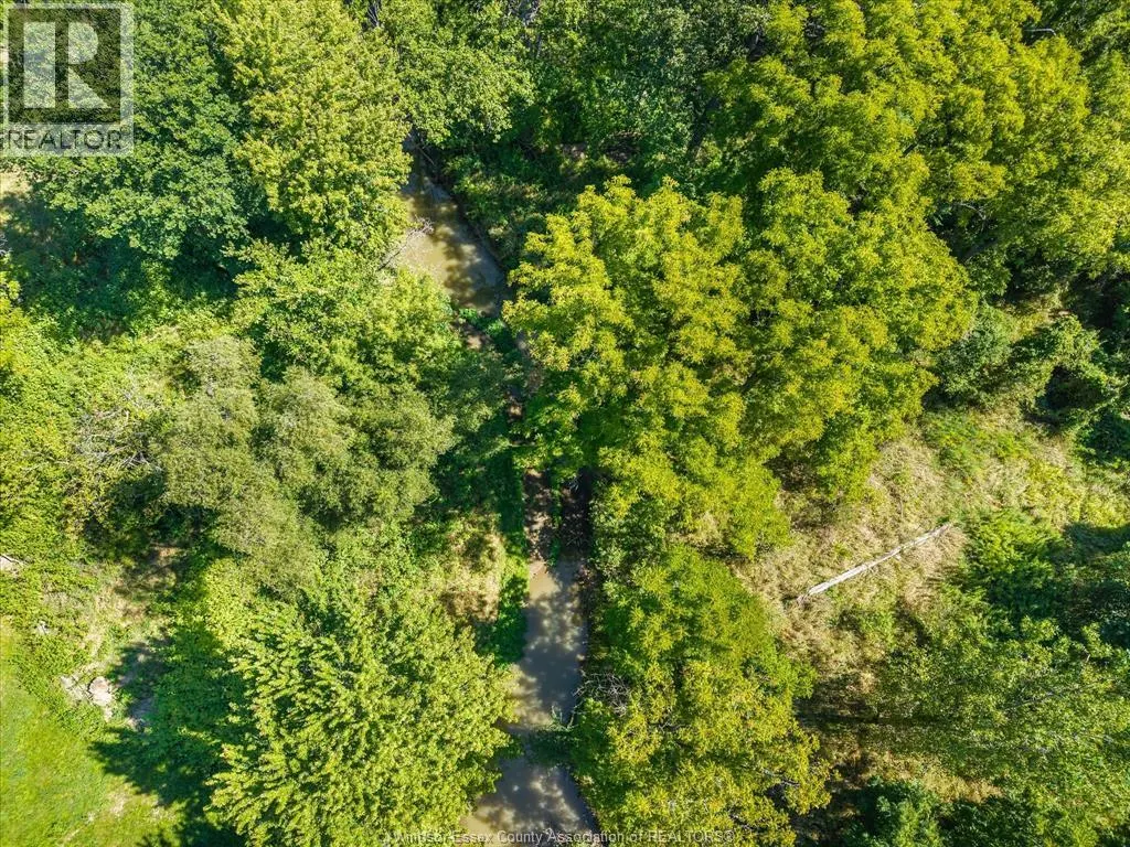 1585 BELLE RIVER ROAD