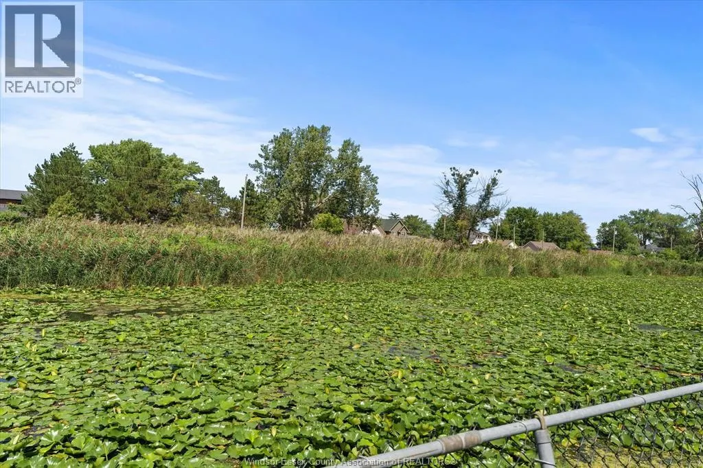 561 COUNTY RD 2