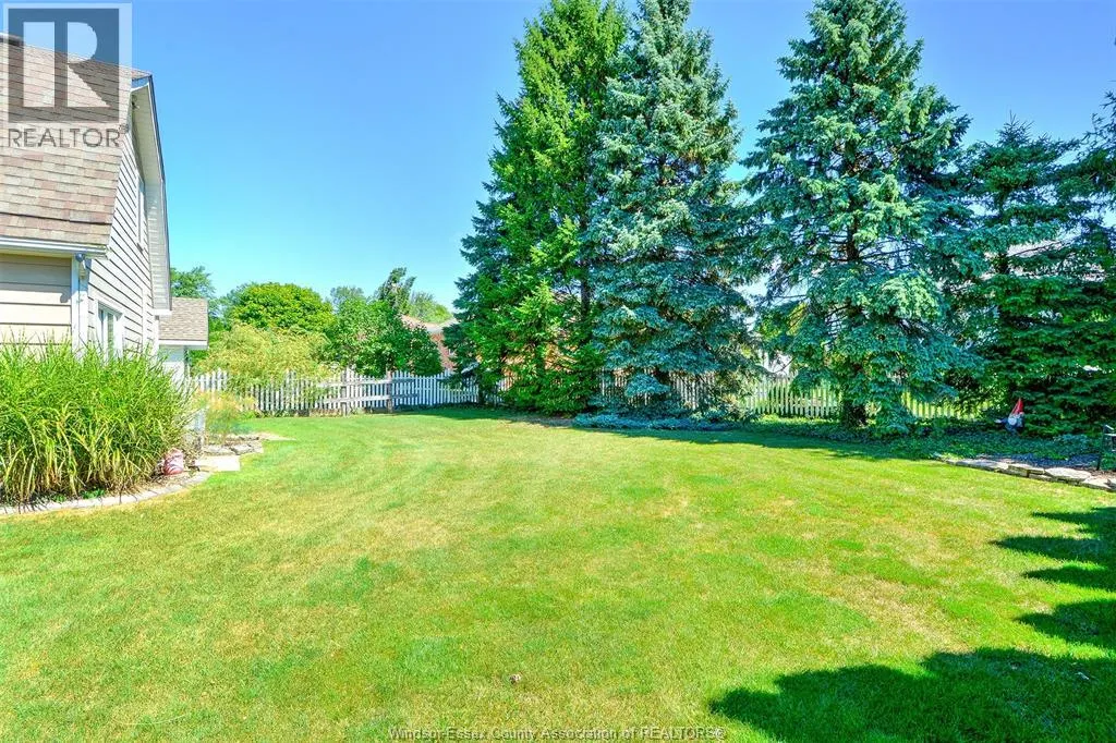 593 DALHOUSIE