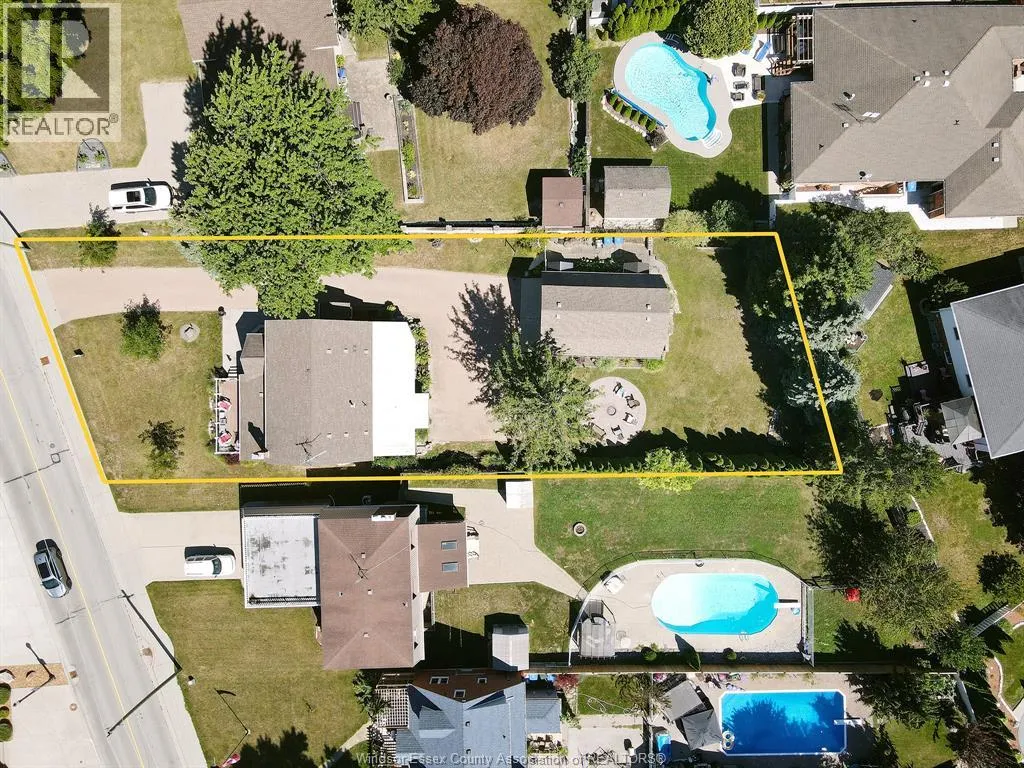 593 DALHOUSIE