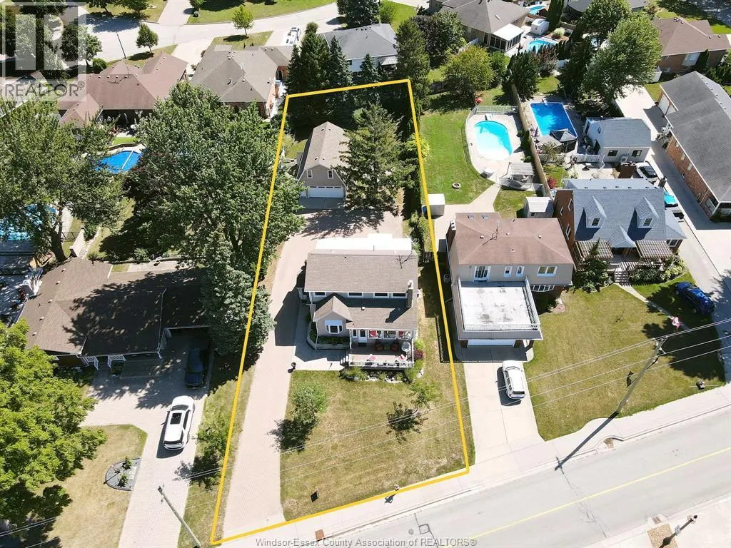 593 DALHOUSIE