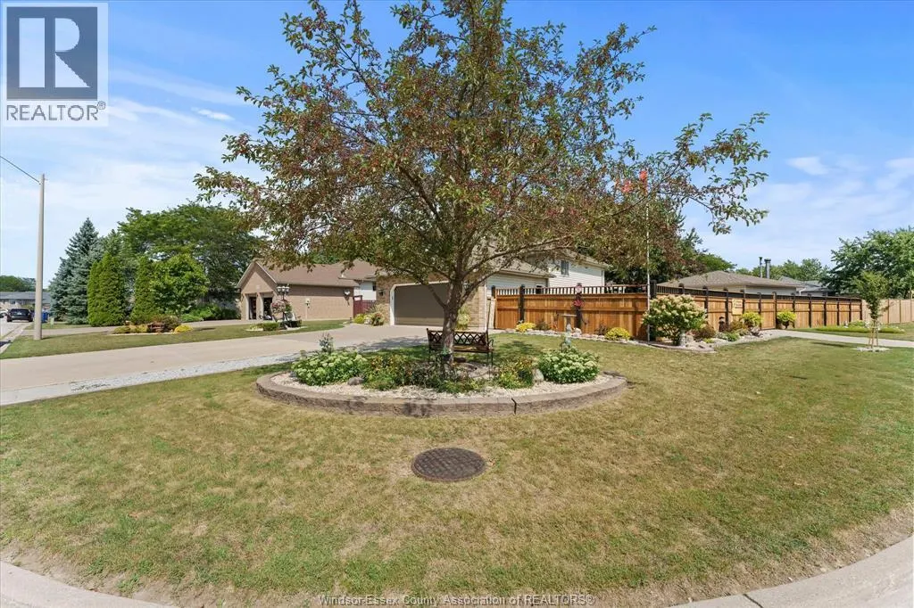 256 ASHWOOD