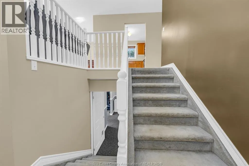 3 Carter AVENUE