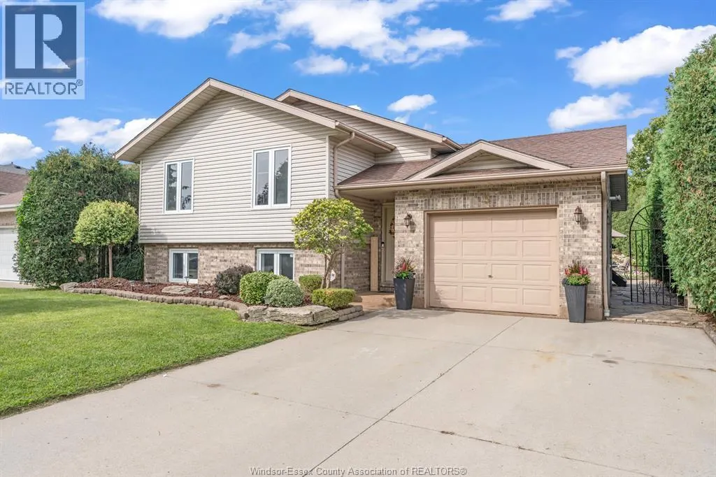 3 Carter AVENUE