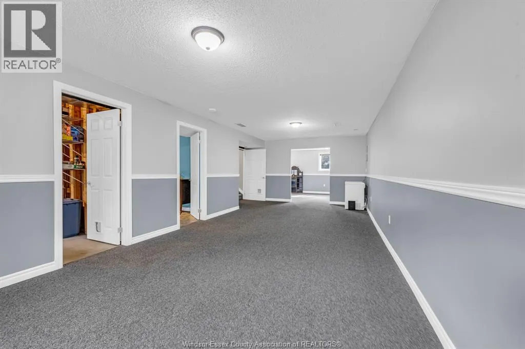 3 Carter AVENUE