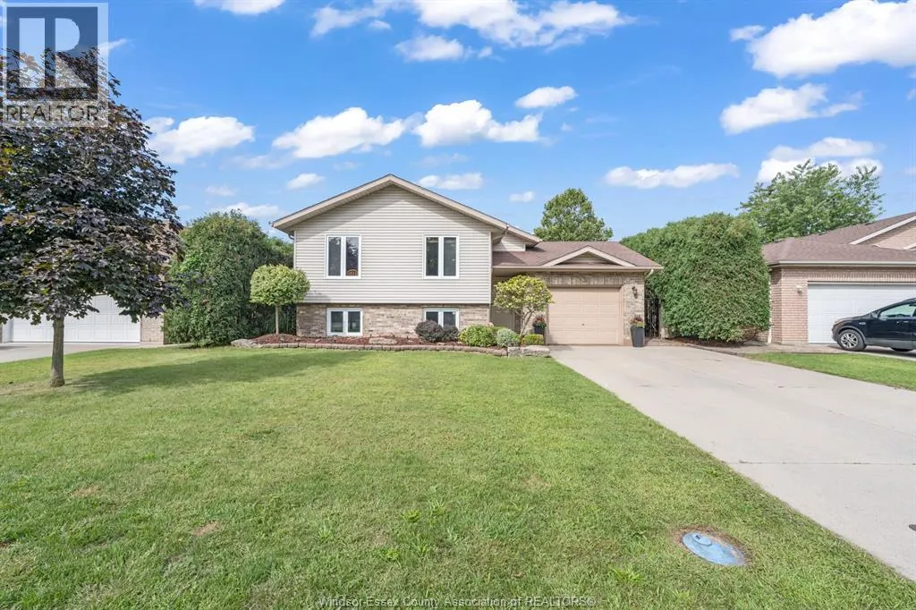 3 Carter AVENUE