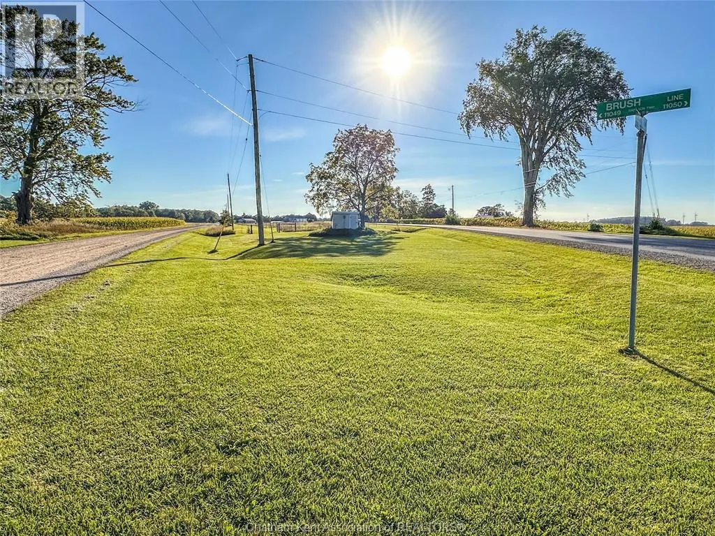 11036 Brush LINE