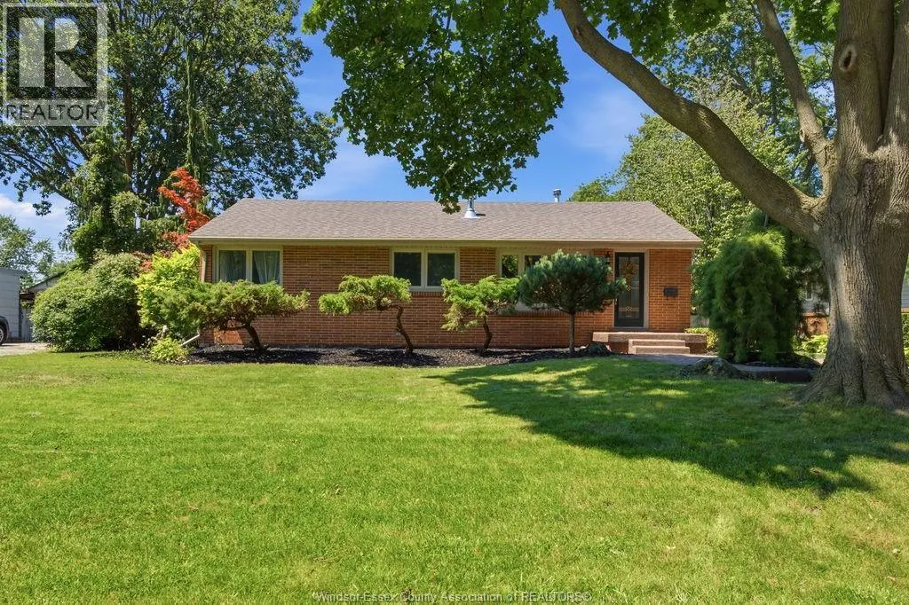 251 ST. MARKS ROAD
