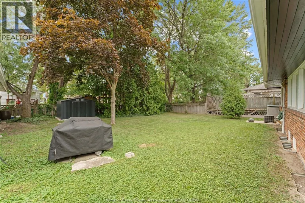 1965 OLIVE ROAD