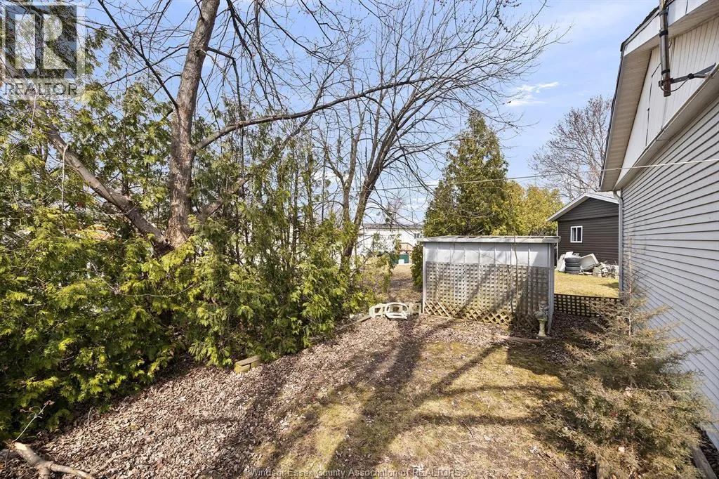 111 DANA DRIVE