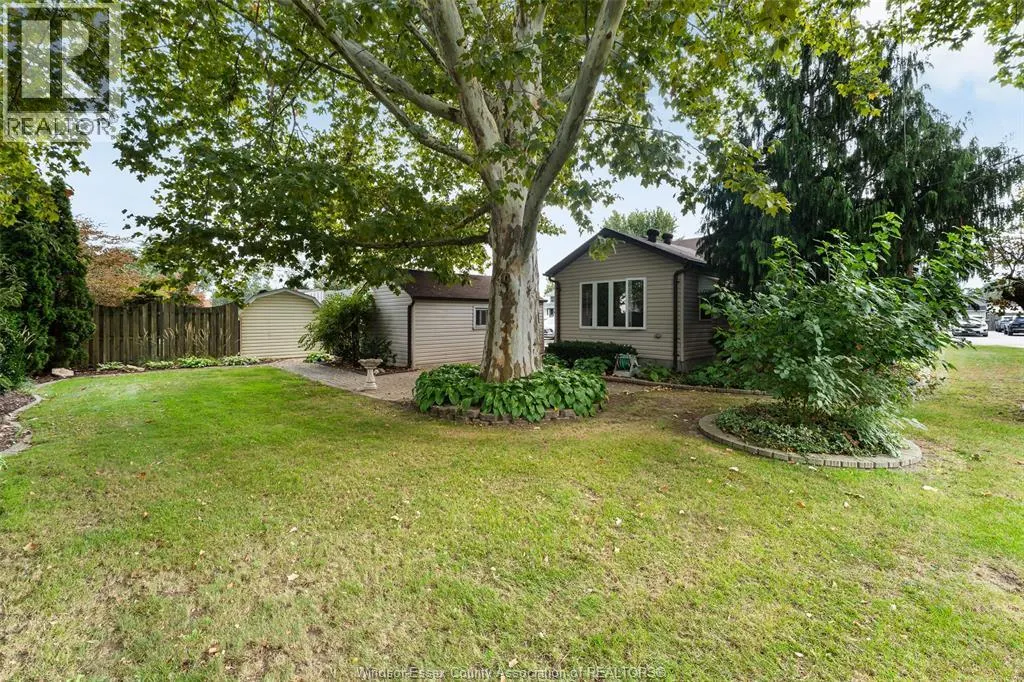 171 MAPLE