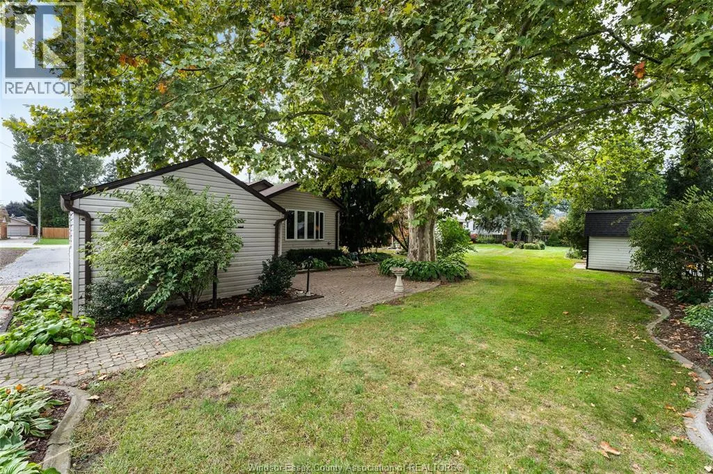 171 MAPLE