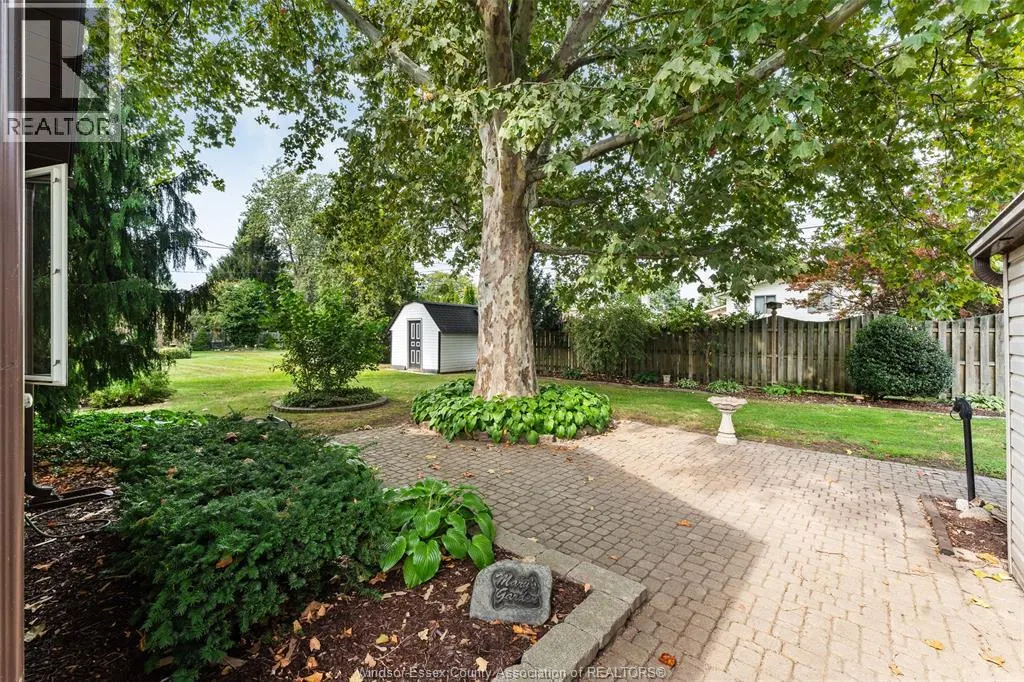171 MAPLE