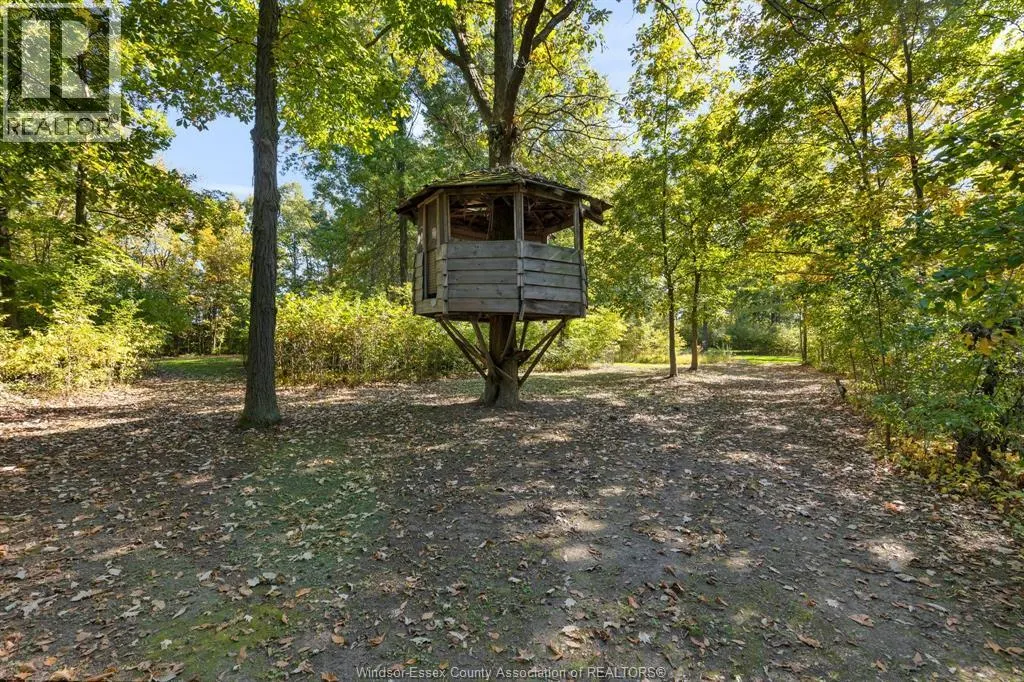 8541 NORTH Sideroad
